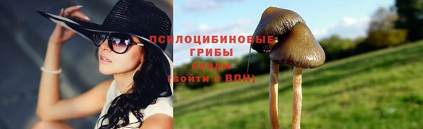 гидра Белоозёрский