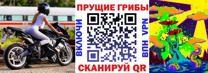 omg зеркало  цены   Киров  Псилоцибиновые грибы мухоморы 